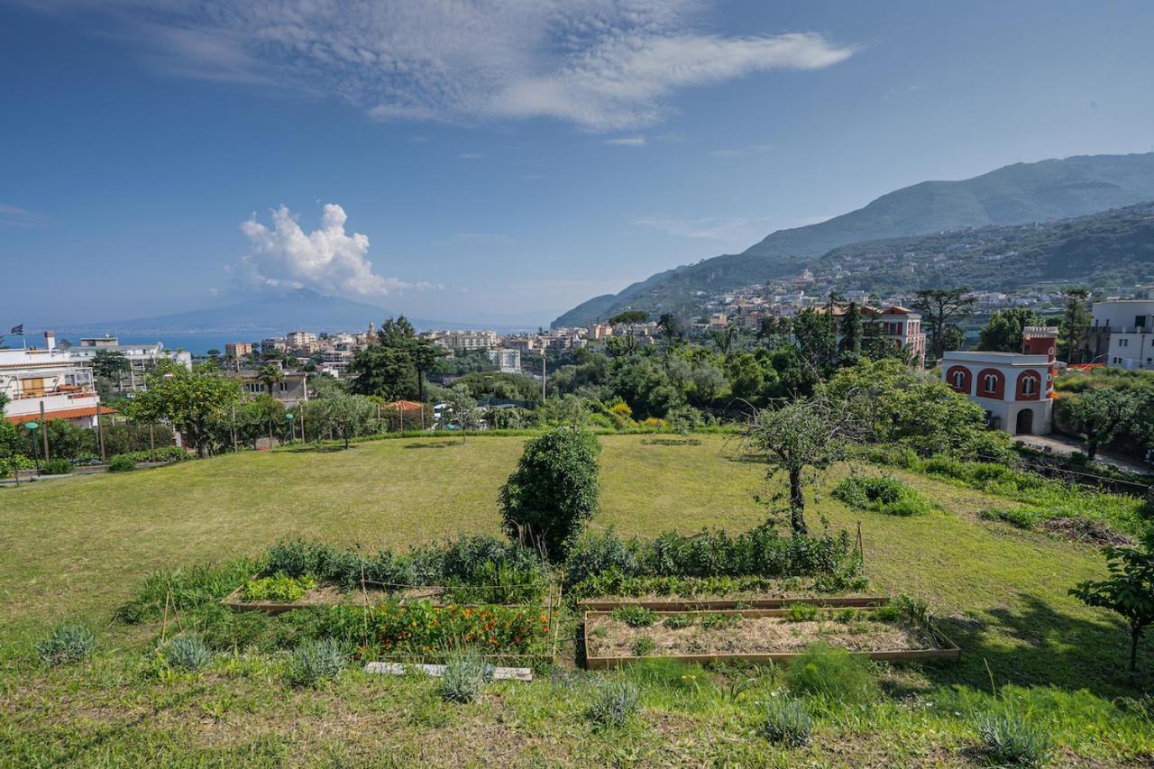 Villa Aurora Vico Equense Zewnętrze zdjęcie